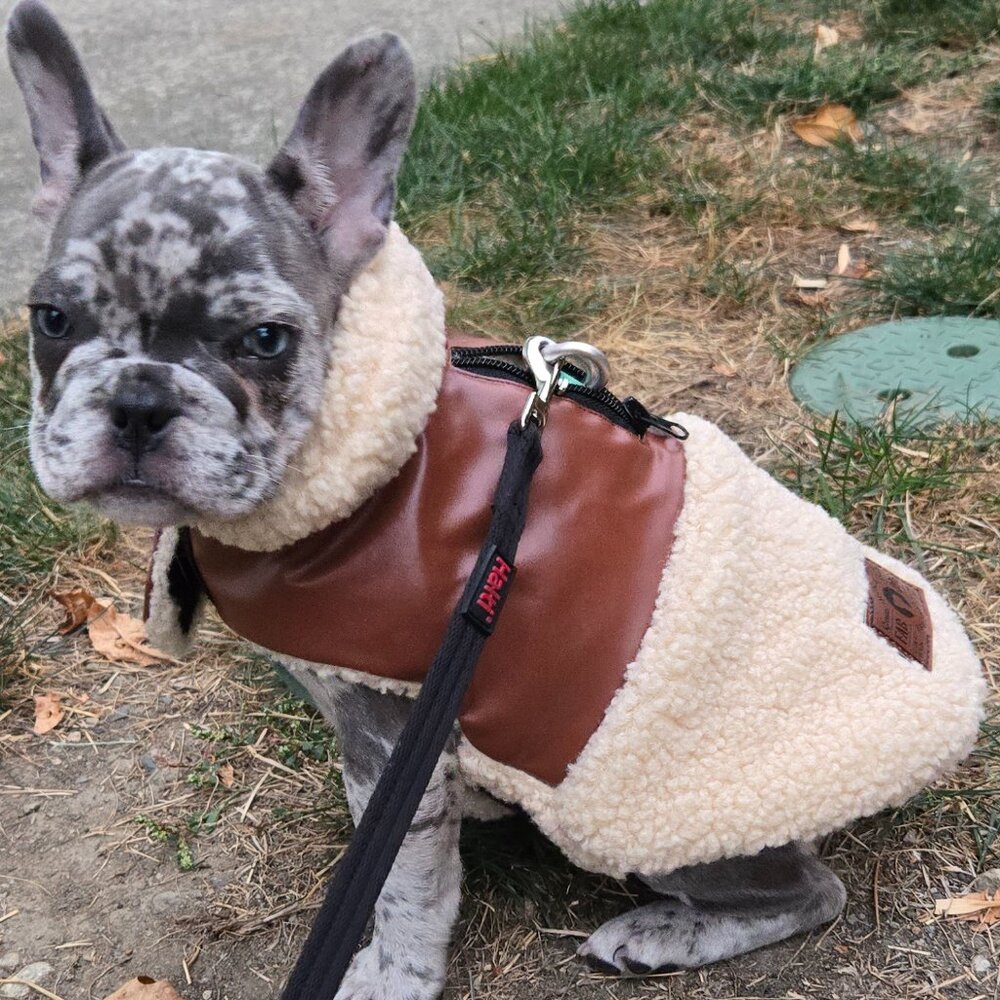 FabDog Faux Leather and Sherpa Jacket